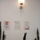 도브필라테스