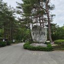 솔향수목원(솔숲광장) 티스토리