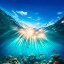 산호약국 이미지