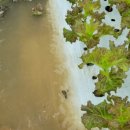 성동영농조합법인 이미지