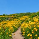 지세포로 이미지