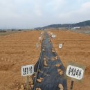 용전농장 이미지