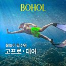 고프로 | 고프로 대여 후기 인천공항 수령부터 반납까지, 보홀 여행 준비물 필수템