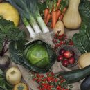 미래가스테크 이미지