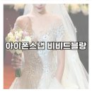 [결혼준비] 본식 아이폰스냅 '비비드블랑' 후기/아이폰스냅 추천!