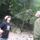 온유민박 이미지