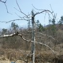 서대산농장 이미지