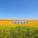 안성팜랜드 주소 이용시간 다양한 시설과 체험 프로그램 주변 관광지와 맛집