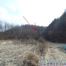 문막읍사무소 이미지