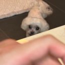 좋은 먹부림이었다2 : 하영각, 알고 솔직후기 +내돈내산