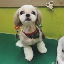 강사모백화점 이미지