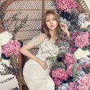 아이재이 이미지