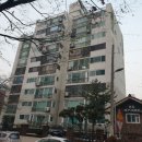 정자동 소로2 네이버블로그