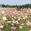 대덕축산 이미지