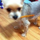 피드미(Feed Me) 이미지