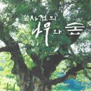 나무와숲