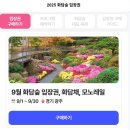 가볼 만한 곳ㅣ화담숲 예약 모노레일 예약 가이드 이미지