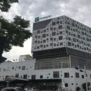 담양 나들이..메타세쿼이아 길