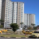 자동차1번지 이미지