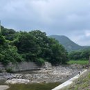 동막골 유원지 협동조합 이미지