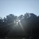 수국펜션 이미지