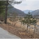 무릉도원면-24 이미지