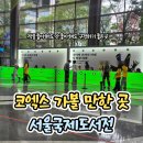 미래책문구 | [가볼 만한 곳] 책과 문구를 좋아한다면 추천하는...국제 도서전 서국도 평일 오후 방문 후기 코엑스 주차