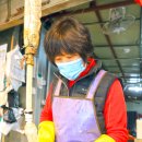 지씨수산 이미지