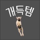 팀일레븐 - 해운대구 해운대로191번길 10 | 팀일레븐