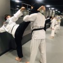 동대태권도 이미지