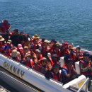 권혁란 | 19년 04월 13일 218차 남미 세미플러스 29일 인솔자 후기- 소피아