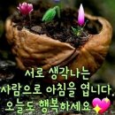 청해요 ~~ 이미지