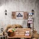 챔피언 애견농장 이미지