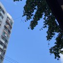 씨유 서귀포월드컵점 | 2020.09.03 제주도 첫날. 제주 롯데마트 근처 맛집, 더큐브리조트 숙박과 조식후기