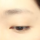 자연눈썹 피씨엘코리아ㅣ자연스러운 페더링눈썹 후기