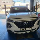 합성견인 이미지