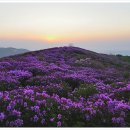 덕신리체육시설 이미지