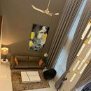 풀베르데 이미지