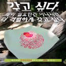신나는집 이미지
