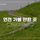 경순농장 네이버블로그