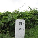 진우원 | [진영] 금병산과 응봉산 산행후기--2009년 8월 2일