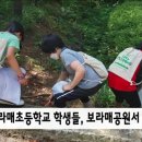 보라매초등학교 이미지