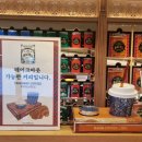 바샤커피 청담 플래그십 스토어 커피룸 브런치 후기 Bacha Coffee 웨이팅 꿀팁!