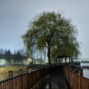 서서울호수동물병원 | 서울 근교 가볼만한곳 천호지 야경 단대호수 천안 밤 드라이브 추천