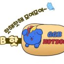 댕냥이 집사들! 펫버킷 할로윈 세일(15%) 10월말까지 한다!! 이미지