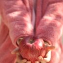 국보농장 이미지