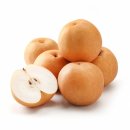 바른농장 이미지