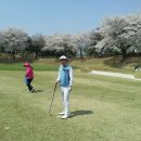 부동산랜드 이미지