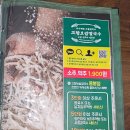 행복플러스25시 | 광주 북구 용봉동맛집 보쌈김치가 넘맛있는 고향보쌈칼국수 용봉점