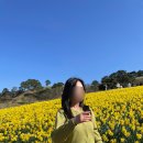 산업로4(서) | 구례 치즈랜드 수선화 개화시기 실화? 인생샷 명소 솔직후기 (주차·입장료)